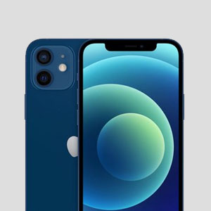 iPhone 12 Repair in Velachery
